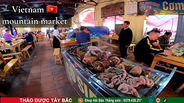 Phiên Chợ Bắc Hà – Lào Cai | Thiên Đường Ẩm Thực, Thảo Dược & Đặc Sản Núi Rừng Tây Bắc