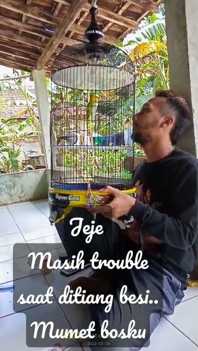dikasih info maszee