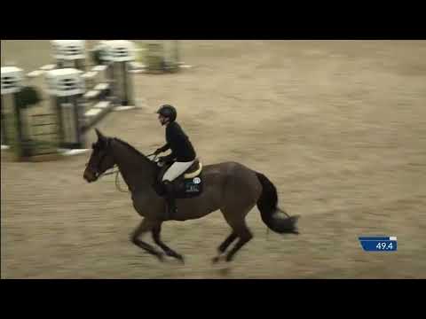 Criquet Des l’isle 140 CSI2* Lier