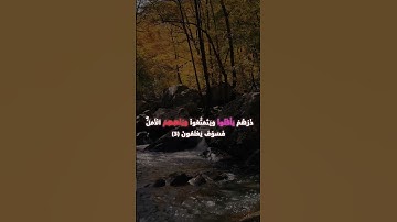 سورة الحجر برواية السوسي عن ابي عمرو البصري #قرآن#قران_كريم #قراءات #الحصري