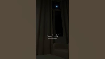 القارئ عبدالرحمن مسعد || سورة الحج
