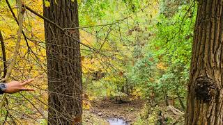 Best Hiking in Cincinnati  Ohio