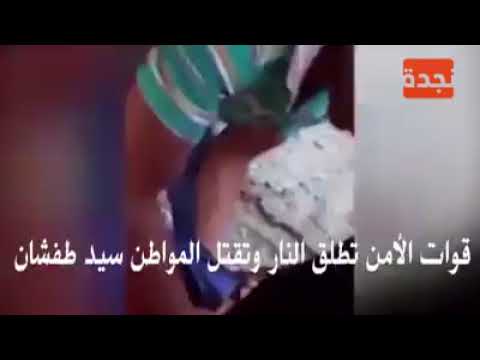 التهجير القسري بجزيرة الوراق التهجير القسري بجزيرة الوراق
