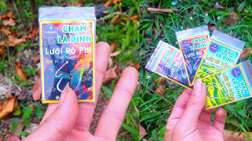 Cách chọn lưỡi câu cá rô phi tự nhiên chuyên càn quét vét cạn ao hồ