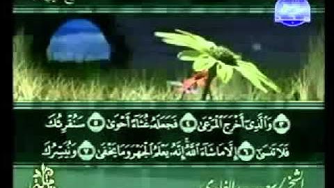 ختمة الشيخ سعد الغامدي 87 سورة الاعلى
