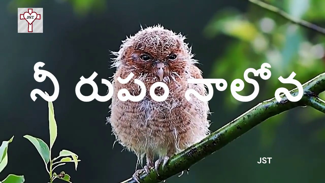   Nee Rupam Nalona Jesus Song Telugu  Telugu Christian Song with Lyrics