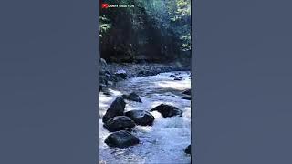 NIPI (Biola Namabugang)