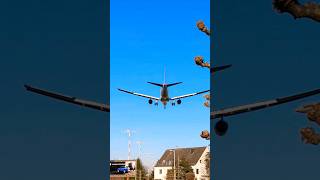 Low landing A330 Turkish Airlines over a house #Shorts