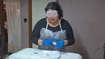 A & P 1 - Sheep Brain Dissection 