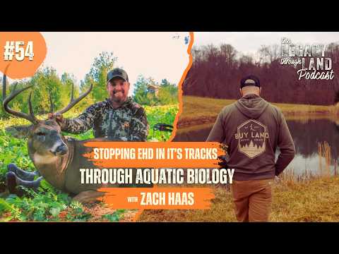 #54 Stopping EHD in it's Tracks Through Aquatic Biology with Zach Haas