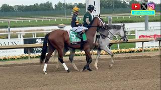 Kentucky Oaks Alum Prom Queen Seeks Return to Winner's Circle in 2026 Indiana Oaks