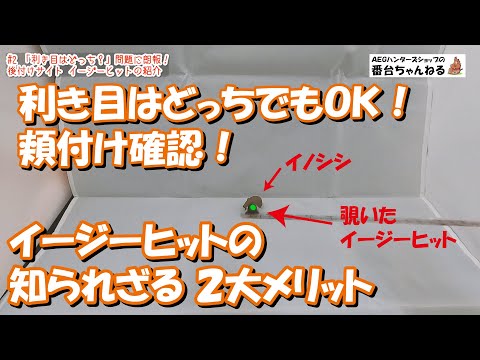 「利き目はどっち？」問題に朗報！ 後付けサイト イージーヒットの紹介