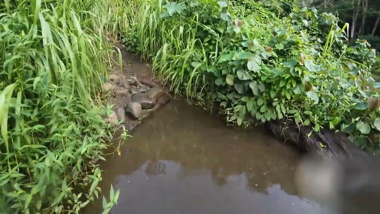 Wailua river to secret falls
