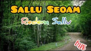 SALLU SEOAM || LAGU DAWAN || REDEM SALLU || COVER
