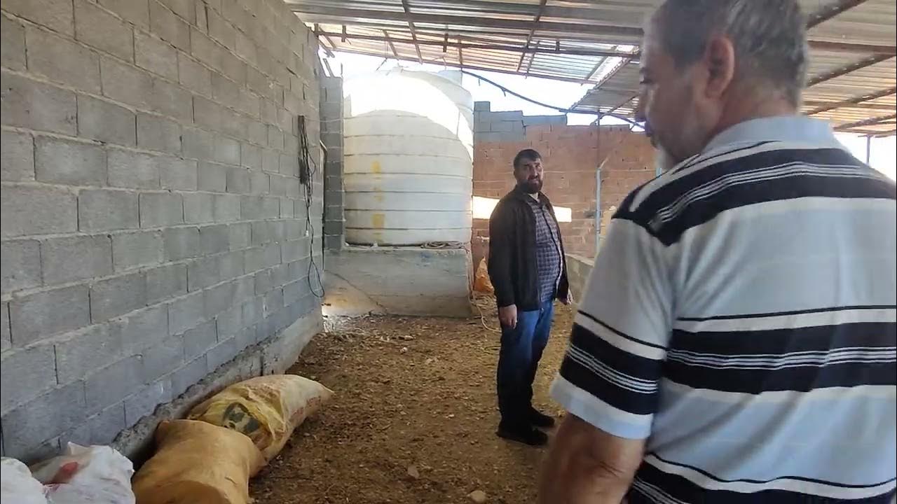 urgent-sale-30k-gbp-farm-11k-sq-metre-200km-from-antalya-city-in-turkey