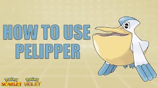 How To Use PELIPPER! - Pokemon Scarlet and Violet Moveset Guide
