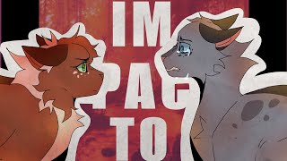 Impacto - Warriors PMV
