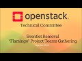 Flamingo PTG - Eventlet Removal - Session 2