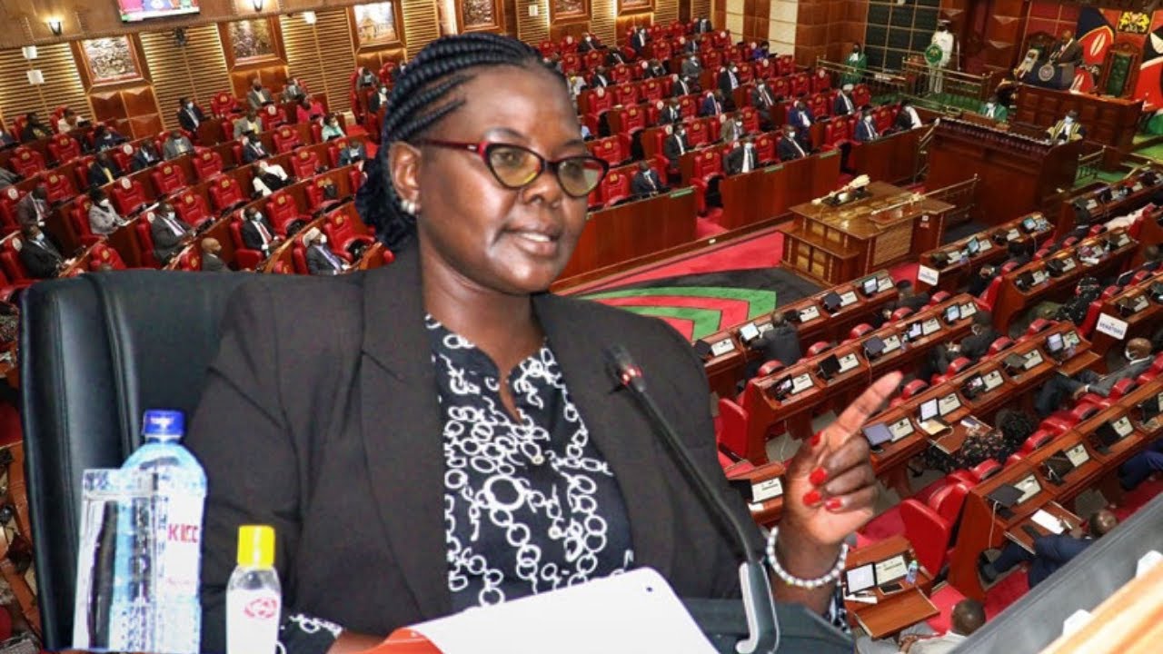 IEBC Commissioner Irene Masit snubbed justice and legal affairs committee sittings