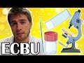 DE L'URINE AU MICROSCOPE (ECBU) thumbnail
