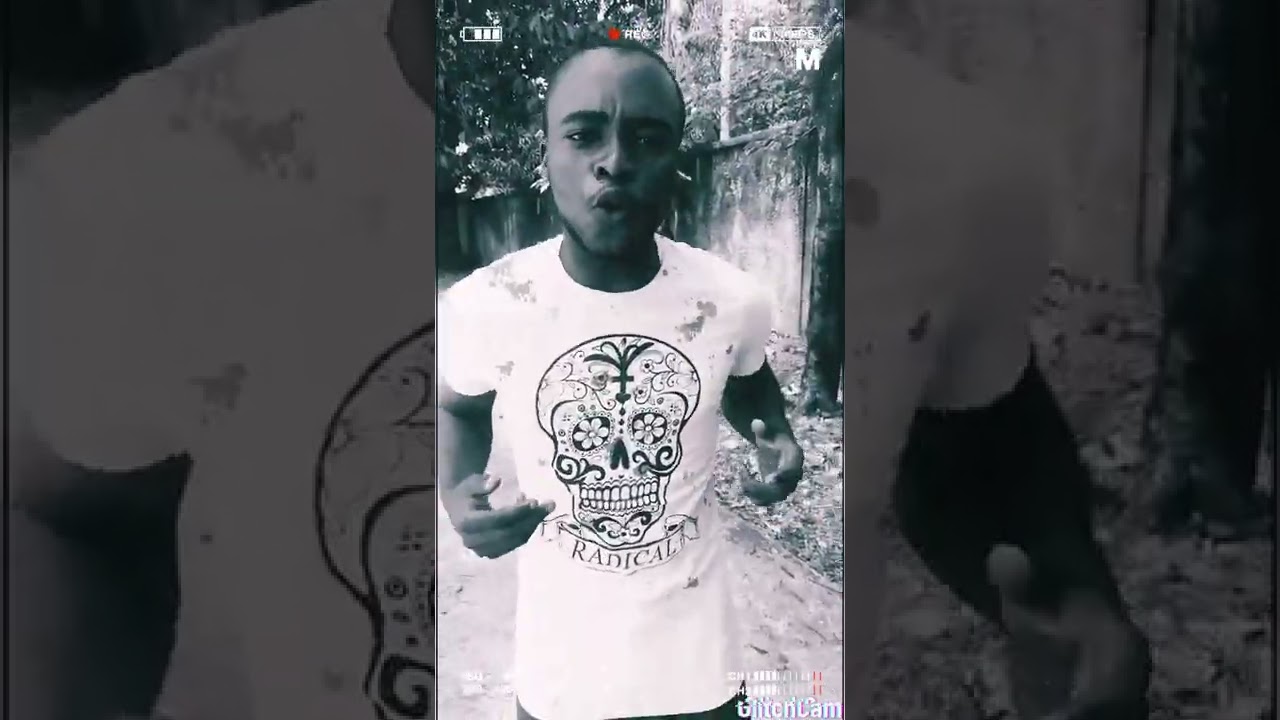 Freestyle avant goût _R. Zibit le prédateur