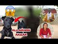 Allakhou Akbar 😱 Souma Teddé Damay Guisse Ay Khadj You Ñoull Allakhou Akbar