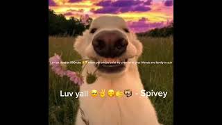 Title  pls go viral tried super hard🥺✌️😭