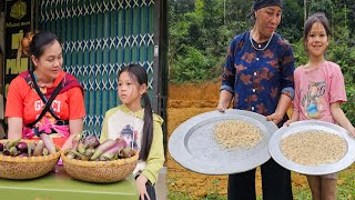 selling eggplants with Aunt Luu to make money - Uyen and the old lady get ant eggs to eat