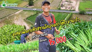 ดูเทคนิคการทำสาวผักบุ้งแก้ว โตไวรายได้ดี l ชมสวนเกษตรกรไทย Ep237
