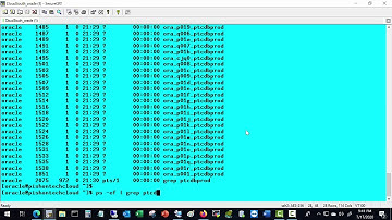 LAB02C 1  Install and Configure Oracle 19c Pluggable Database  on ASM Diskgroup