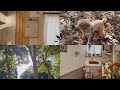 Taruちゃんが旅立って2ヵ月。いつもそばに…