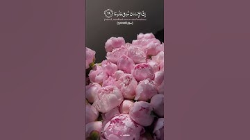 سورة المعارج🎧| اللهم اجعلها برداً وسلاماً على فلسطين وأطفالها⁠♡ #تلاوة #محمود_علي_البنا