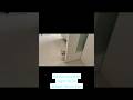 7 month old kitten cat Pepper hiding behind the door (short ver)