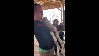 Camachos Mini Farm Acres 3.8.2025