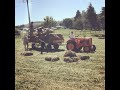 La fête des tracteurs Mûres 2019 !