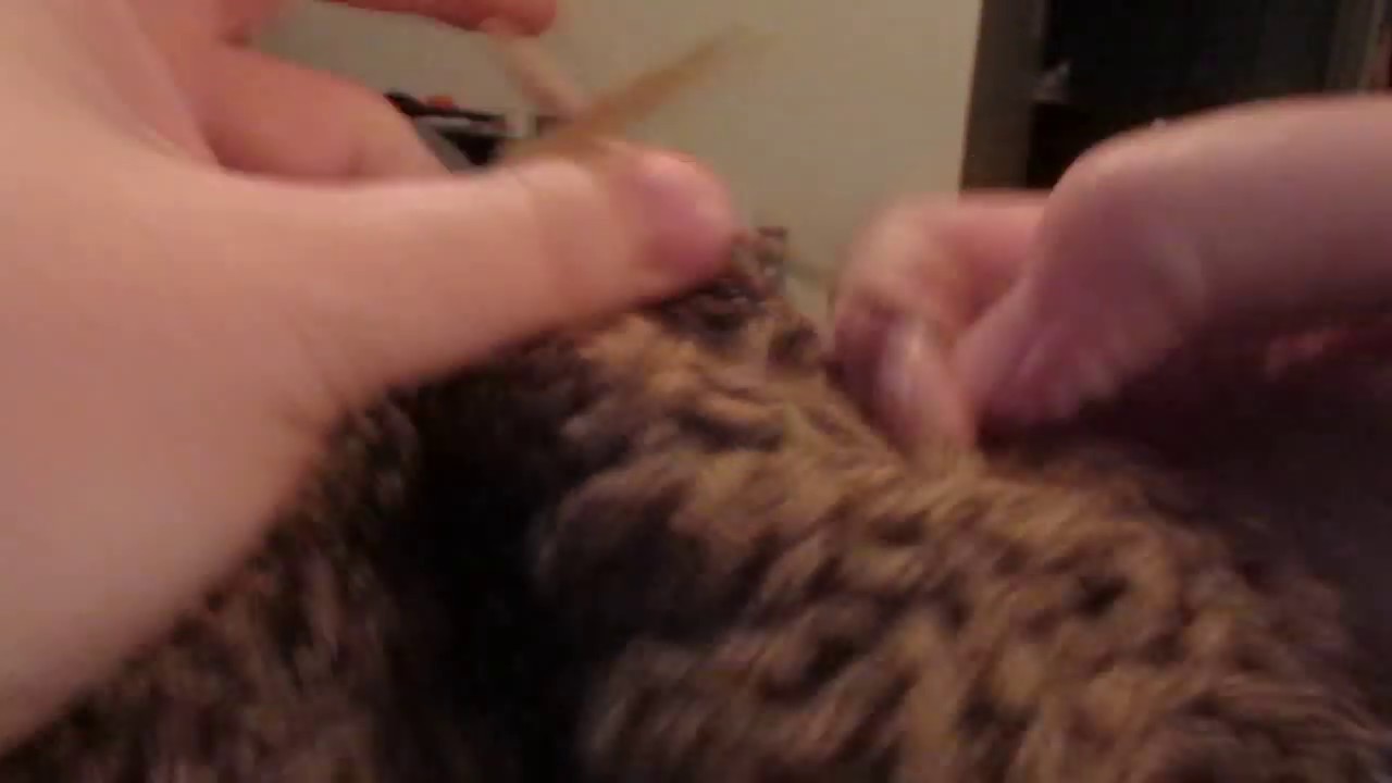 knitted hat- 1- brick pattern in light brown- 10