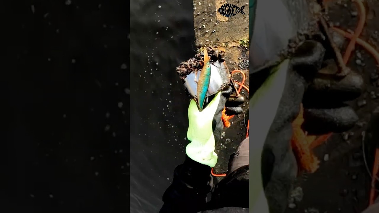 Another crazy magnet fishing find 😂😂 