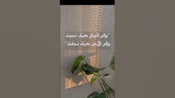 ما تيسر من سورة الغاشية #القرآن_الكريم #راحة_نفسية #عبدالرحمن_مسعد #ارح_سمعك