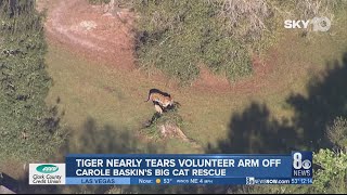 Tiger nearly tears volunteer arm off at Carole Baskin's Big Cat Rescue