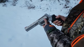 Taurus Raging judge 45colt accuracy