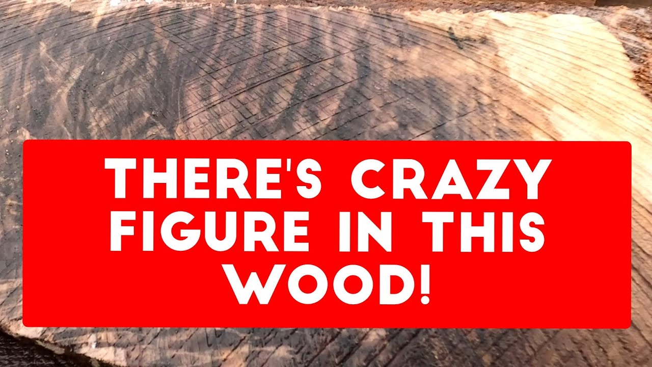 Cutting Beautiful Walnut Boards on Mahoe Minimax Sawmill!