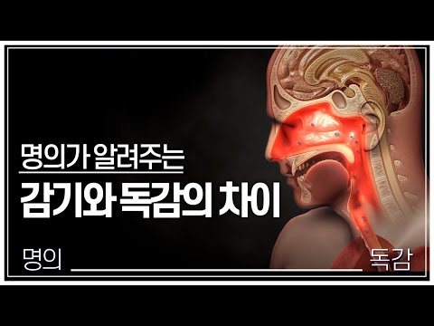 [명의] 감기일까 독감일까? | 명의가 알려주는 감기, 독감 구별법👨‍⚕️ | 감기와 다르다 폐렴과 독감