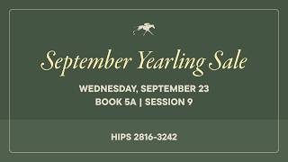 Details Keeneland September Yearling Sale Livestream Update