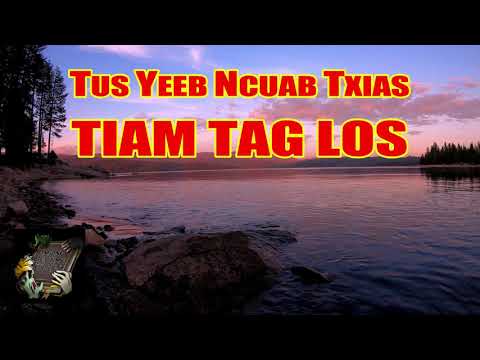 Video: Tus yeeb ncuab cog lus dab tsi?