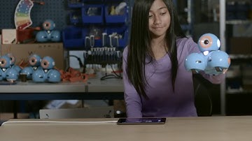 Wonder App - The Pick Up and Put Down Cues | Wonder Workshop