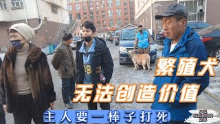 繁殖犬因为无法创造价值，主人要ㄧ棒子打死，生命难道就这样贱踏 Dog rescue in China 20211216