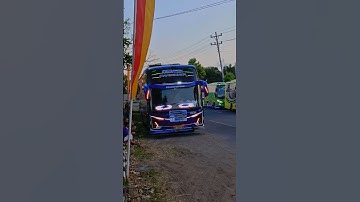 Strobo Mata Bus Basuri