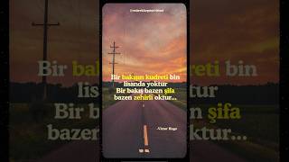 Victor Hugo Şfet Öz