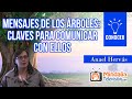 Mensajes de los Árboles: claves para Comunicar con Ellos, por Anael Hervás