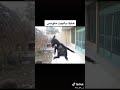 خليك بالبيت متونس